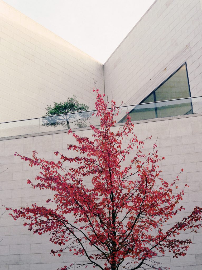 No title. Deutsche Historische Museum, Berlin I. M. Pei architect (1917 –2019)