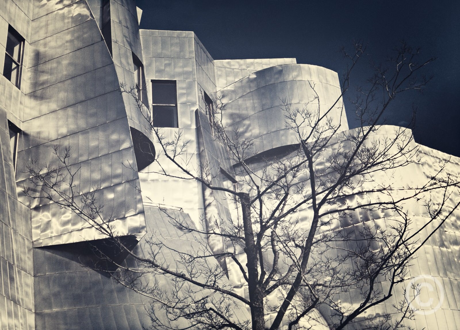 Severed cascade - Weisman Art Museum Twin Cities Campus - Minneapolis Frank Gehry architects