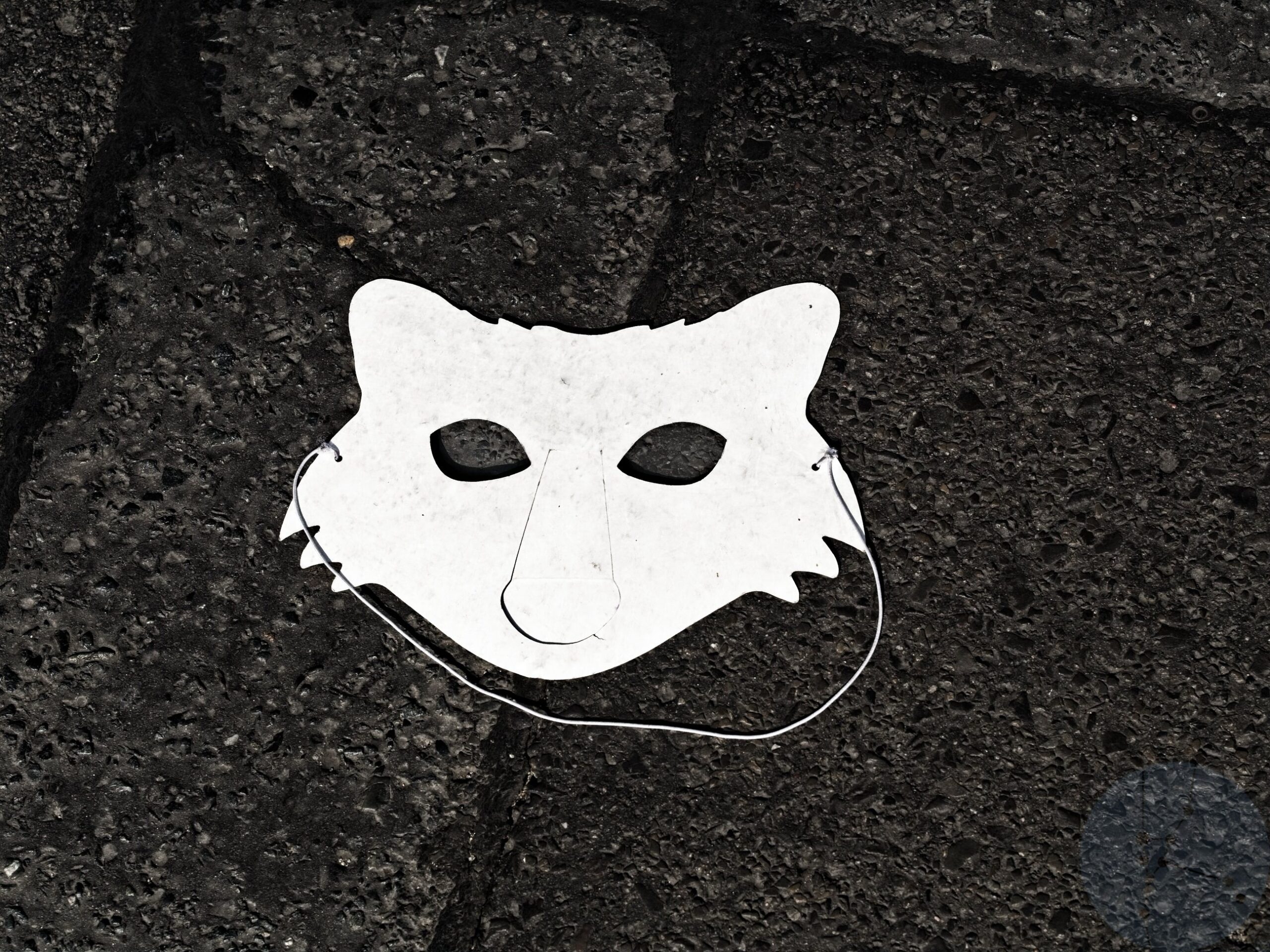 Look at me in the eyes - The Corona Fox mask